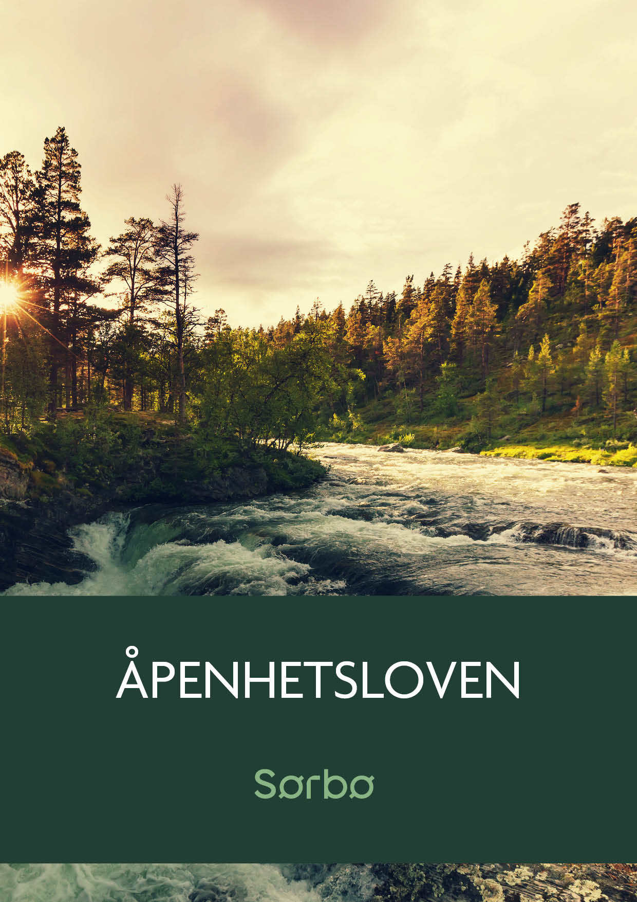 Åpenhetsloven